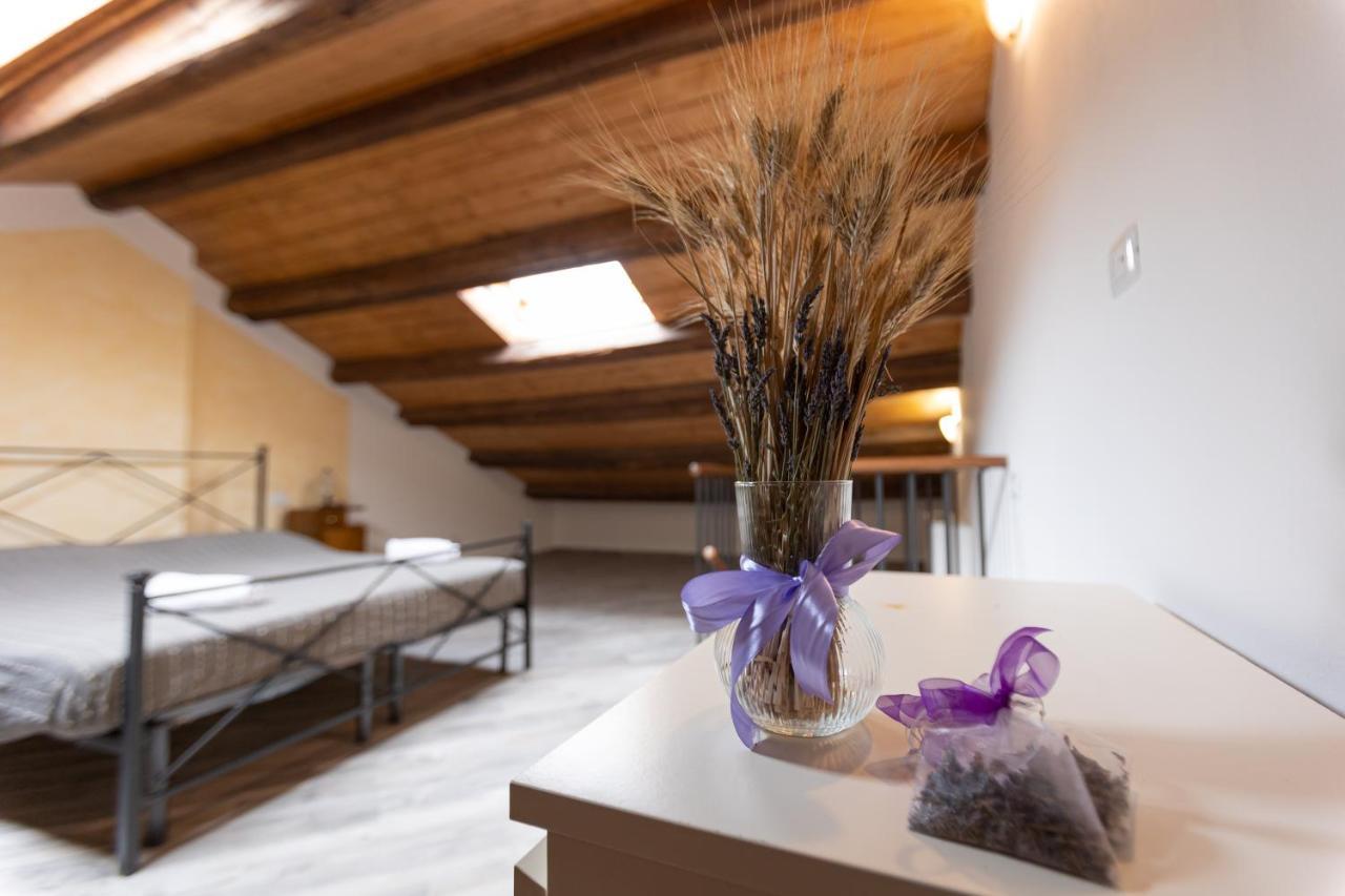 Agriturismo La Valle Della Lavanda - Podere Mezzastrada Fauglia Kültér fotó