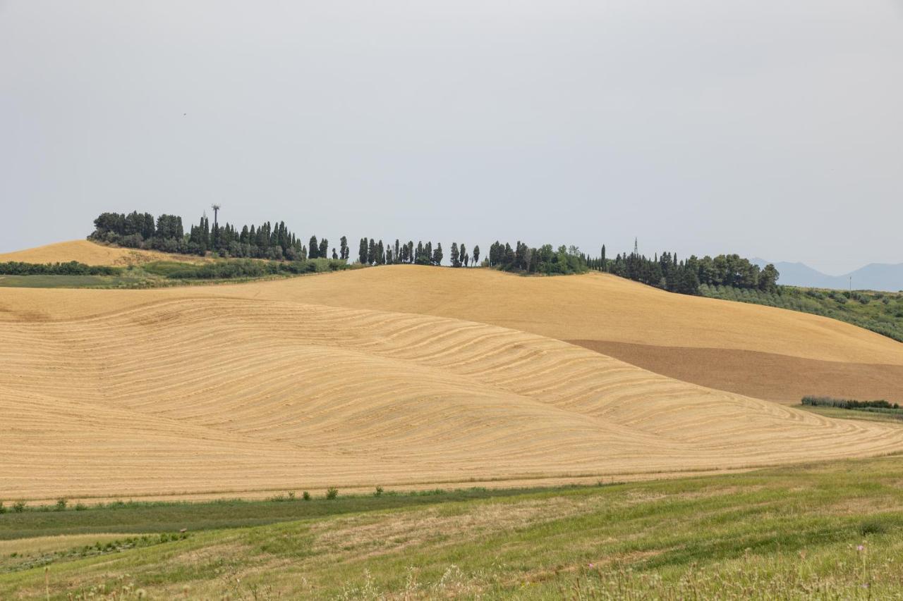Agriturismo La Valle Della Lavanda - Podere Mezzastrada Fauglia Kültér fotó