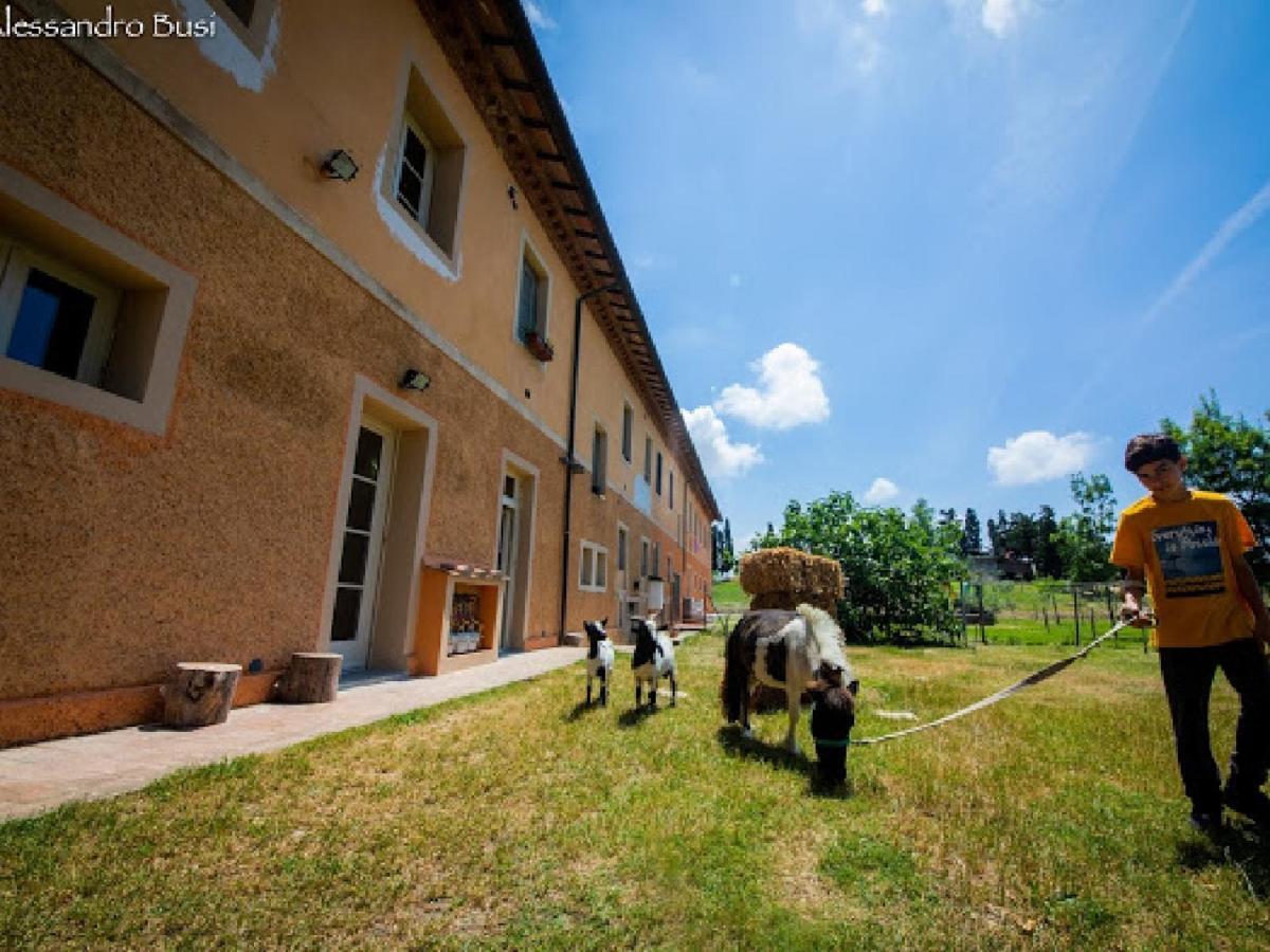 Agriturismo La Valle Della Lavanda - Podere Mezzastrada Fauglia Kültér fotó